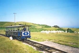 Great orme Tramway and Goats
